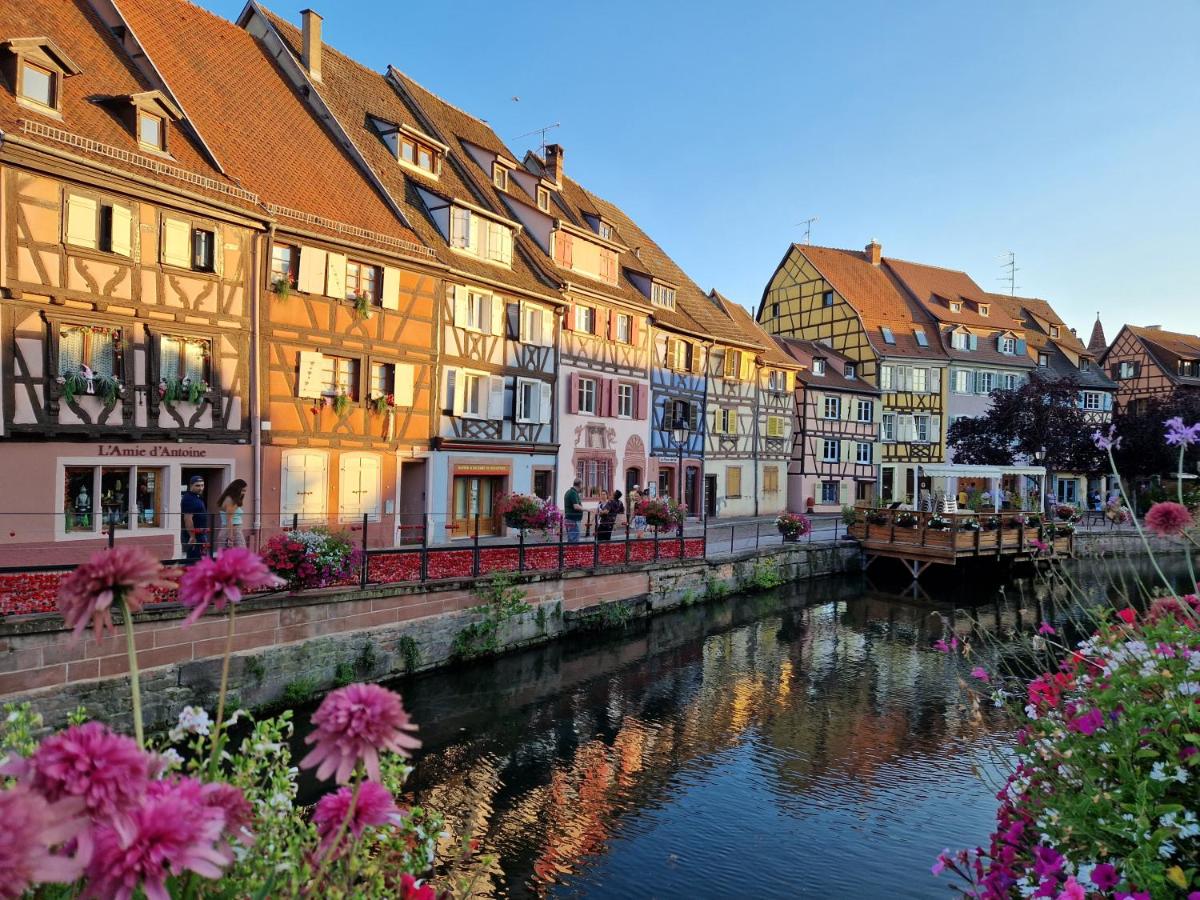 Home La Petite Porte - Petite Venise - Colmar - Housity