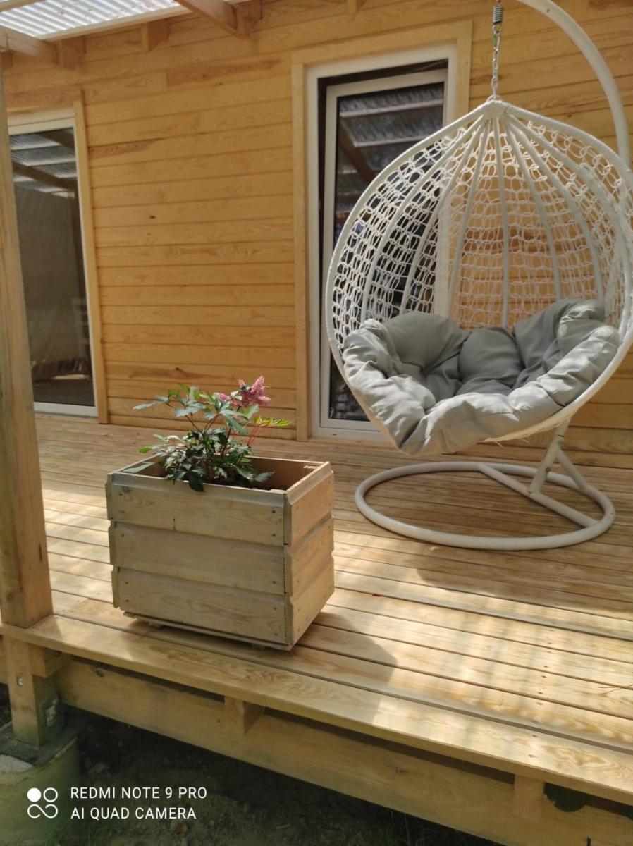 Domki w brzozach - Housity