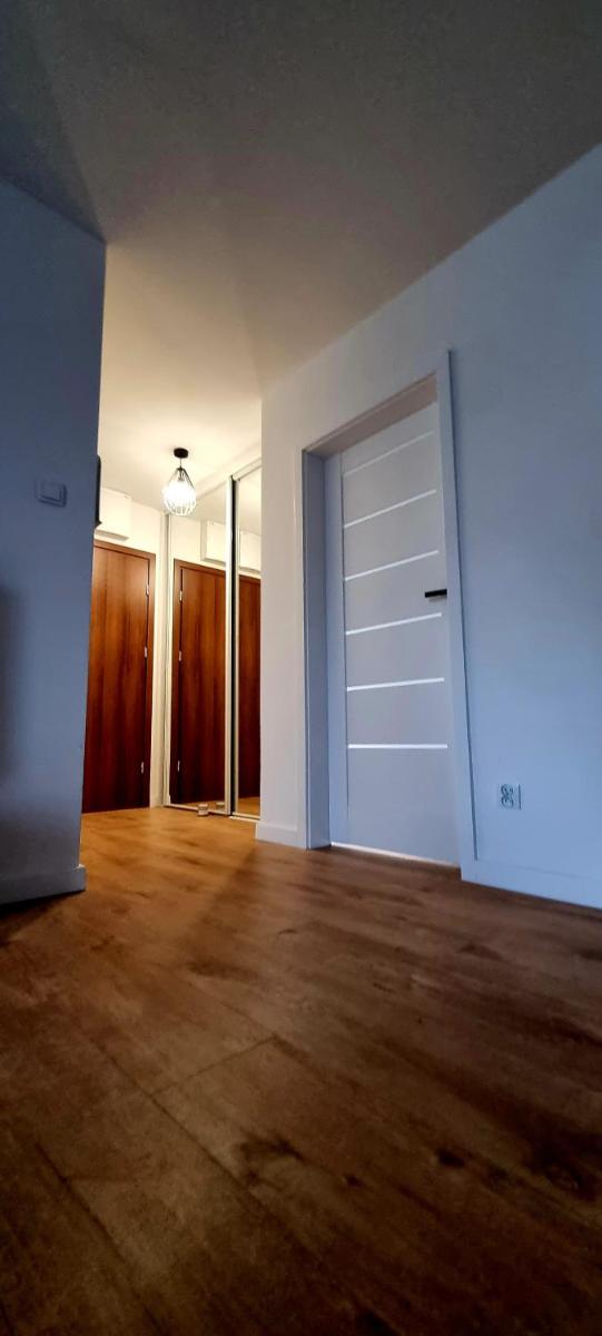 Apartament Sołtysia Góra - Housity