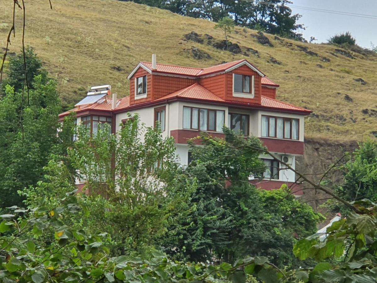 Grand61 guest home - Housity