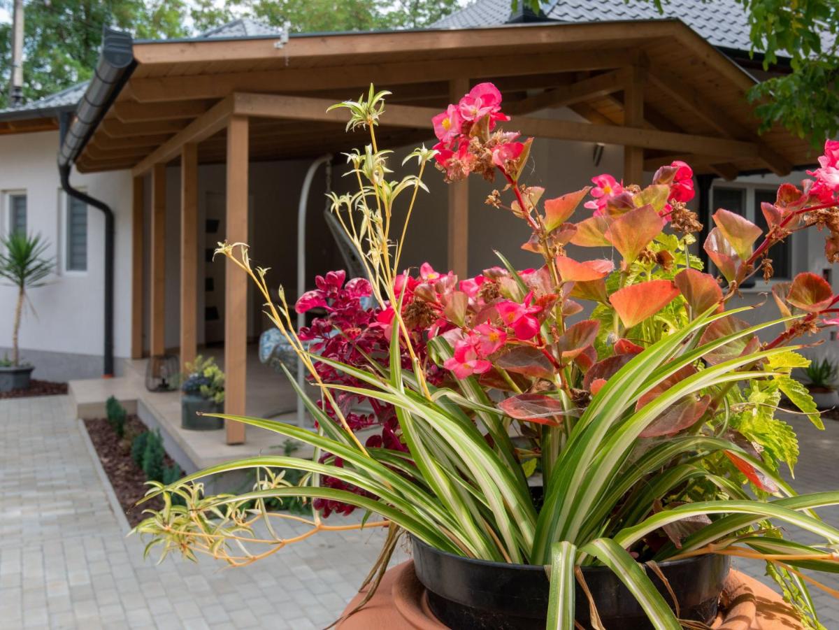 Bokor vendégház - Levendula apartman - Housity