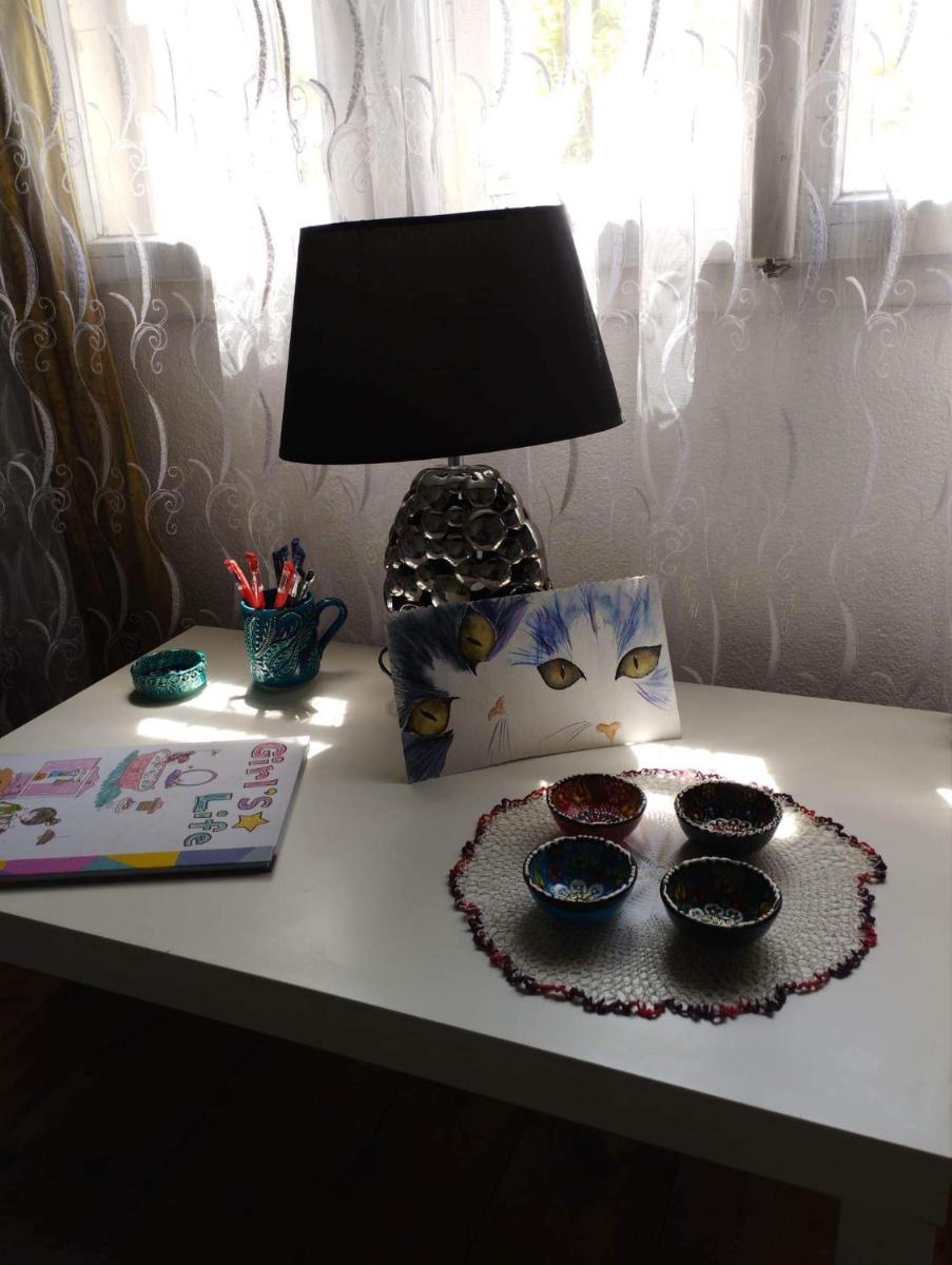 Konak Mileva - Housity