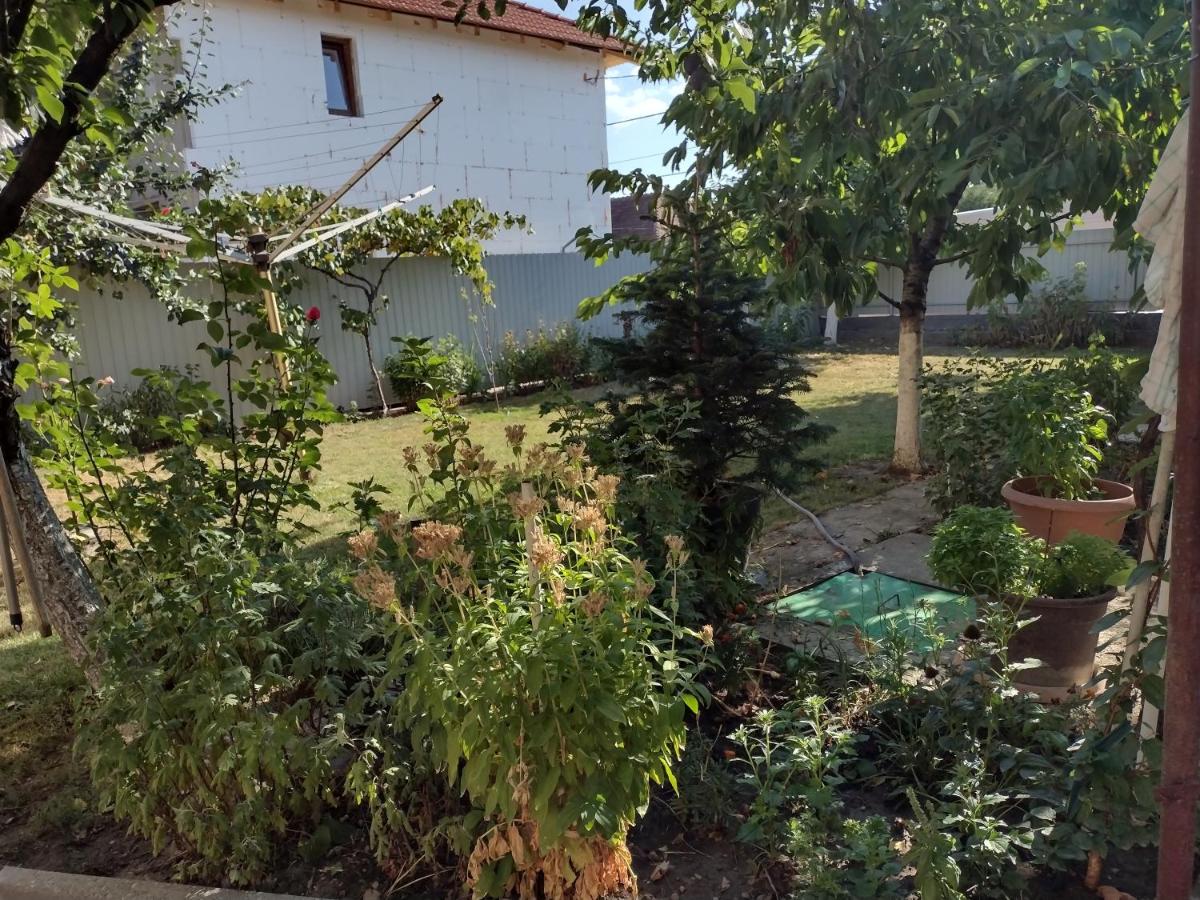 Casa Florica - Housity