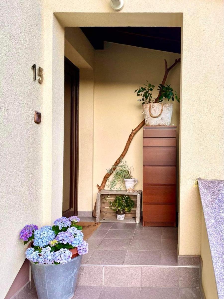 Apartma Kamra15 - Housity