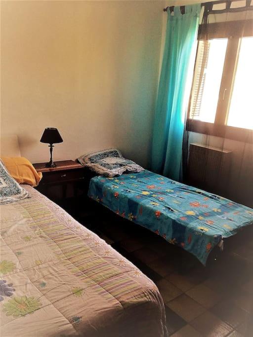 Beau F4 petreto-Bicchisano - Housity