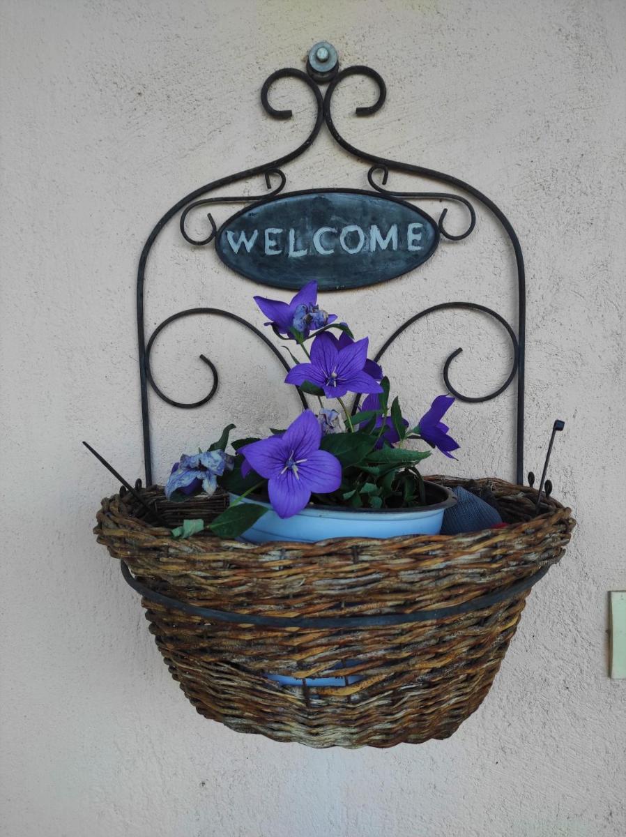 Countryside Cottage with Garden & Lake View - Housity