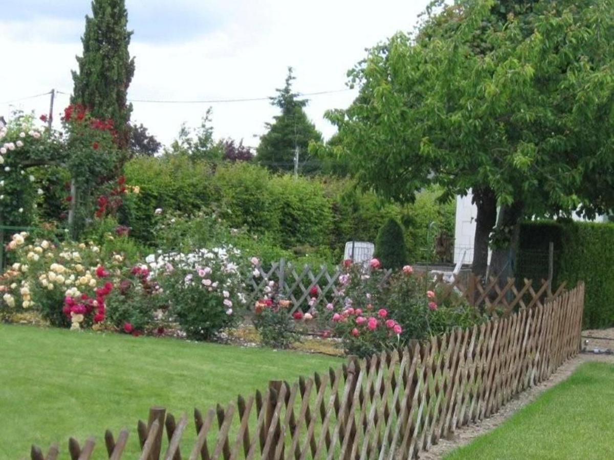 Charmant Gîte en Bord de Loire avec Jardin, Proche de Saumur et des Châteaux - FR-1-622-39 - Housity