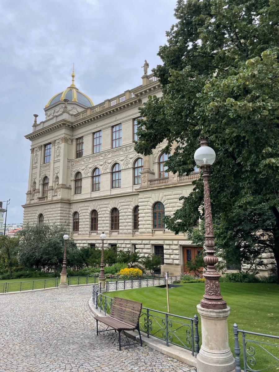 Room in Apartment - Apartment U Muzea and Vaclavske Namesti - Housity