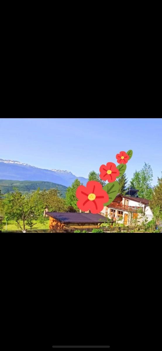 Solar Panorama - Housity