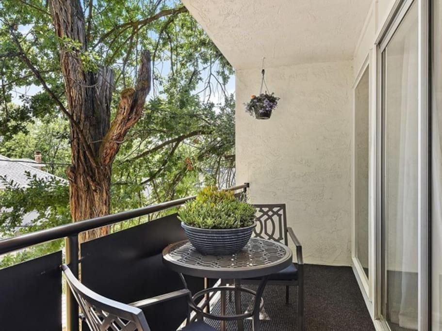 Condo 24! Prized Location. Modern! Bright! Enjoy! - Housity