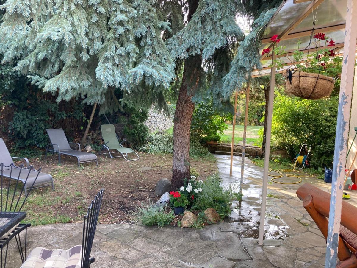Apartment Kisvolgy - Housity