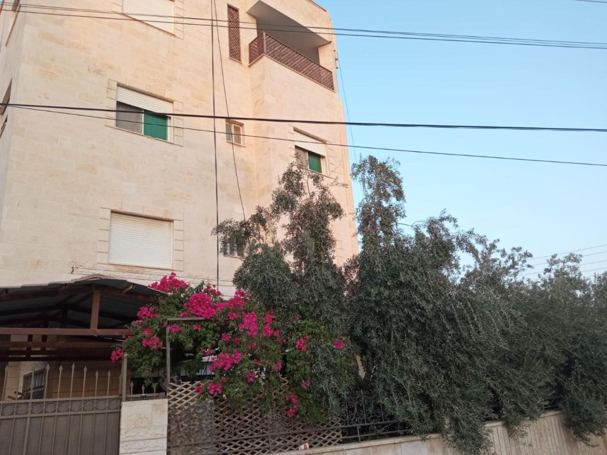 شقه مفروشه للايجار - Housity