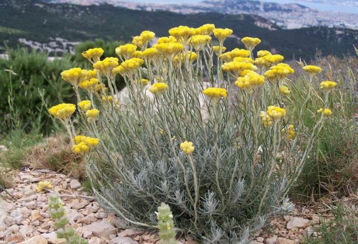 Villa vue mer et nature route de Cigala - Housity