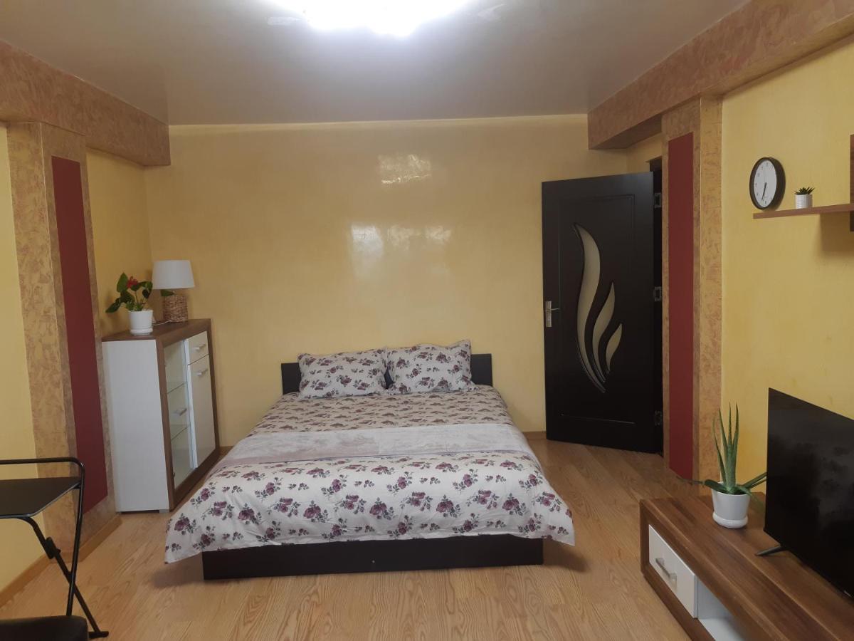 Suitetrails - Apartament in centrul Iasului (Lapusneanu)