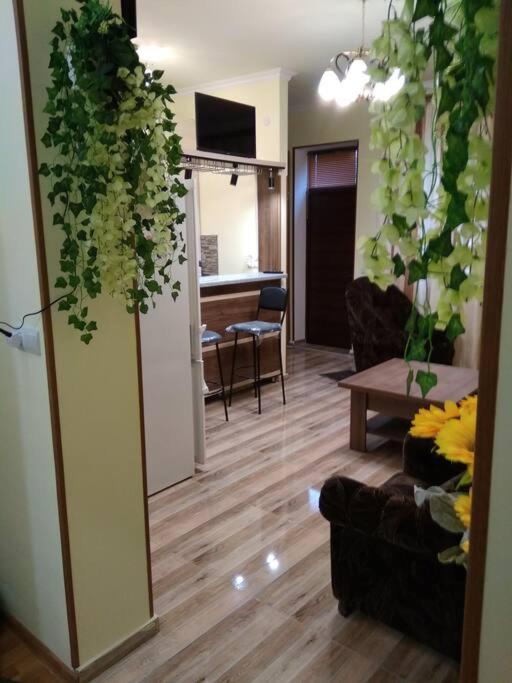 Guest house SKS - Housity