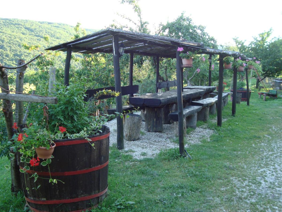 Agroturizam Toni - Housity