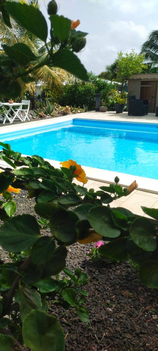 Gite l'Hibiscus - Housity