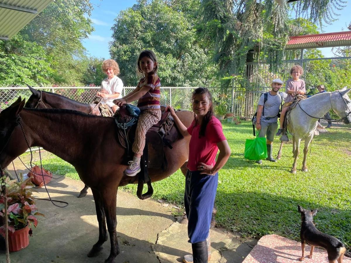 Oasis del Tortuguero - Housity