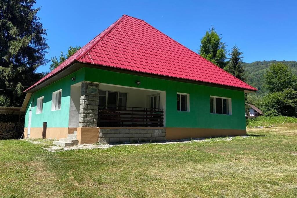 The Green House - Apuseni Mountains - Housity