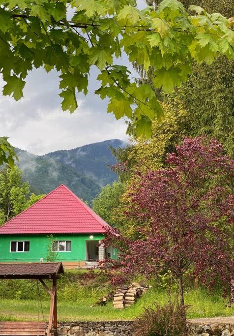 The Green House - Apuseni Mountains - Housity
