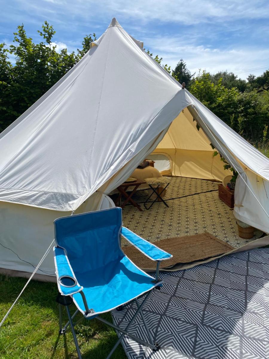 Daisy Bell Tent at Belan Bluebell Woods - Housity