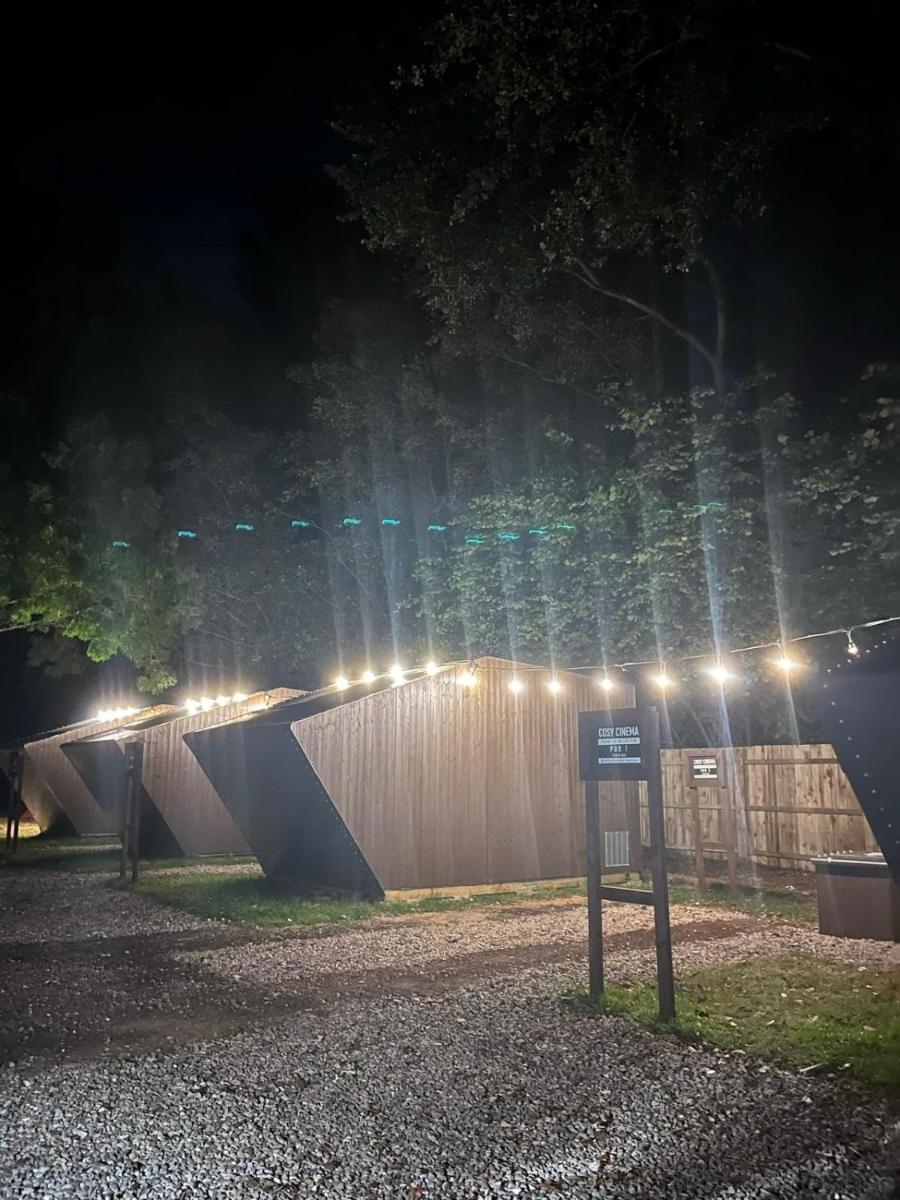 Cosy Cinema - Housity