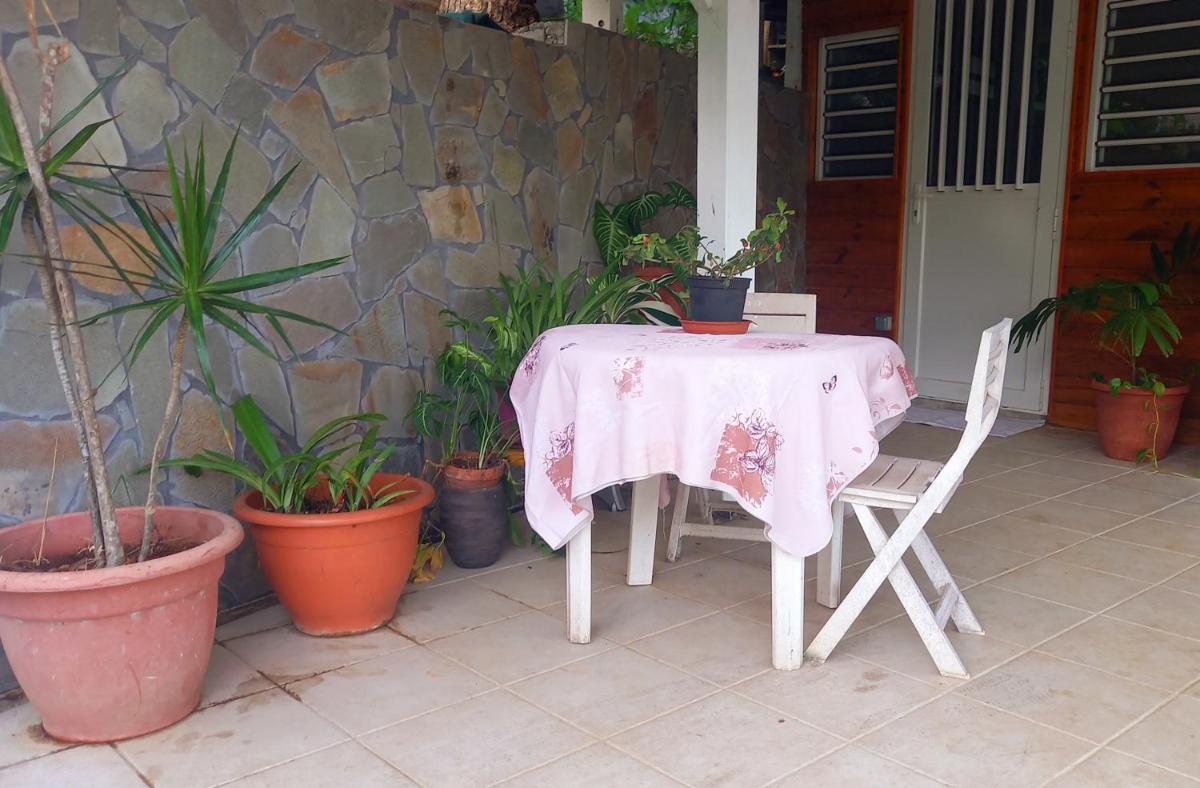 Coquet petit appartement non loin du centre-ville - Housity