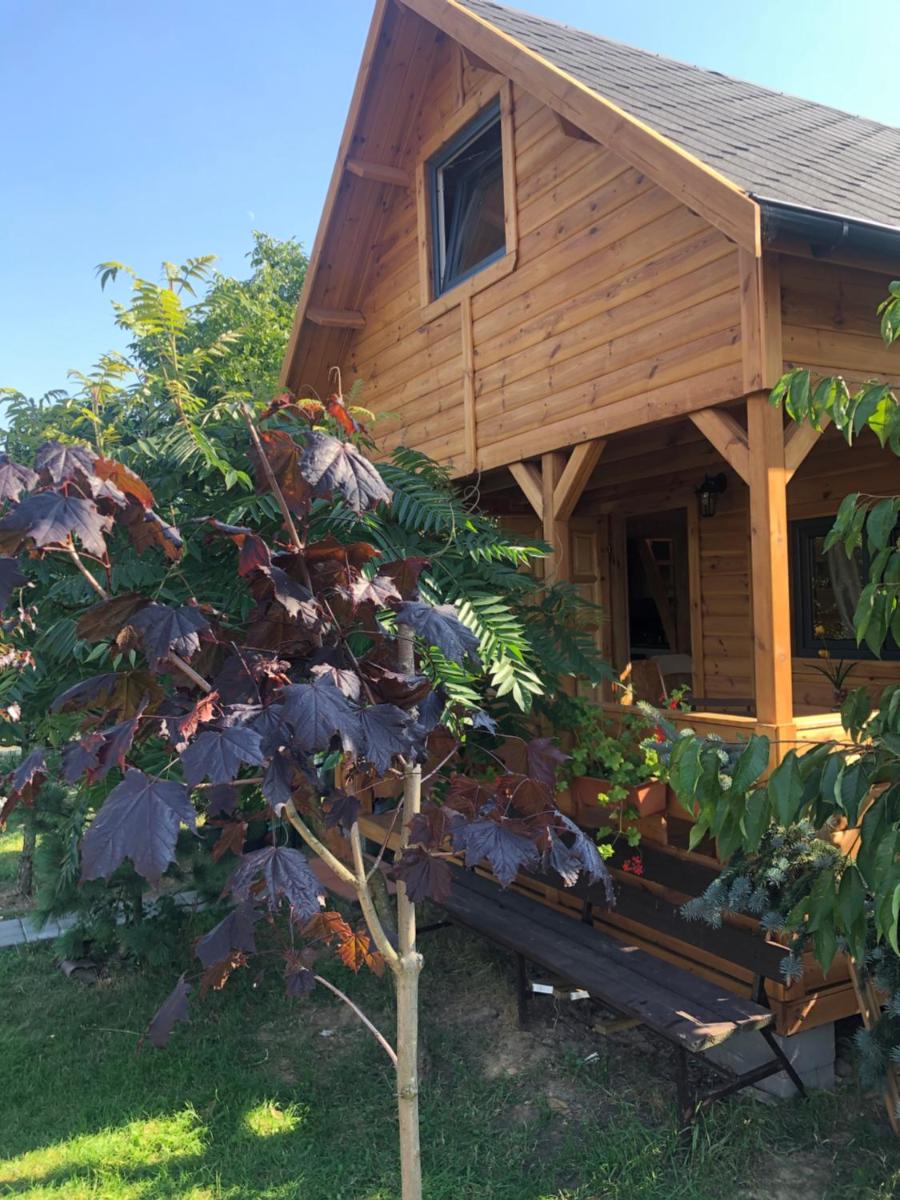Domek pod Sumakiem - Housity