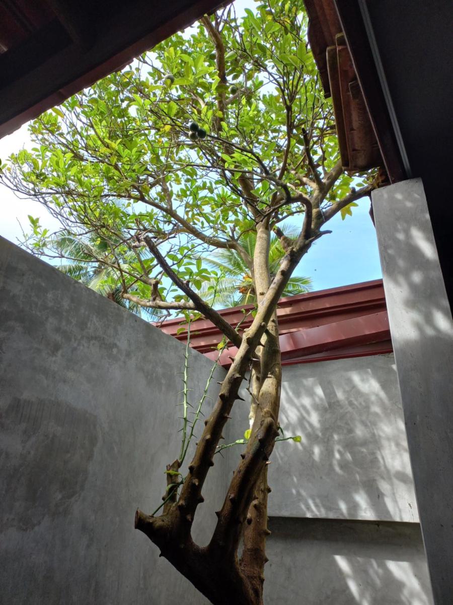 Suitetrails - Indra Sisila Villa Bentota