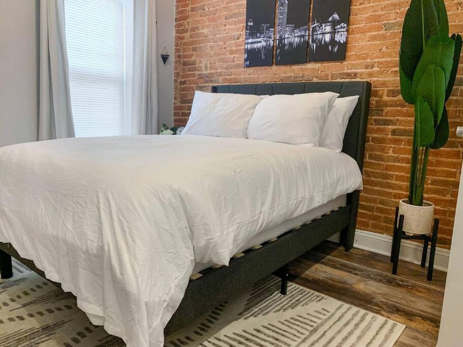 Cozy Modern Apt in the Heart of Fells Point! - Housity