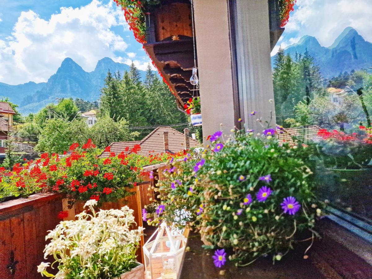 Amor Tirol Bușteni - Housity