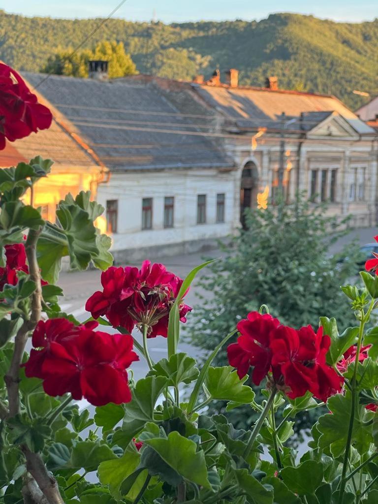 Sighet privat și central - Housity