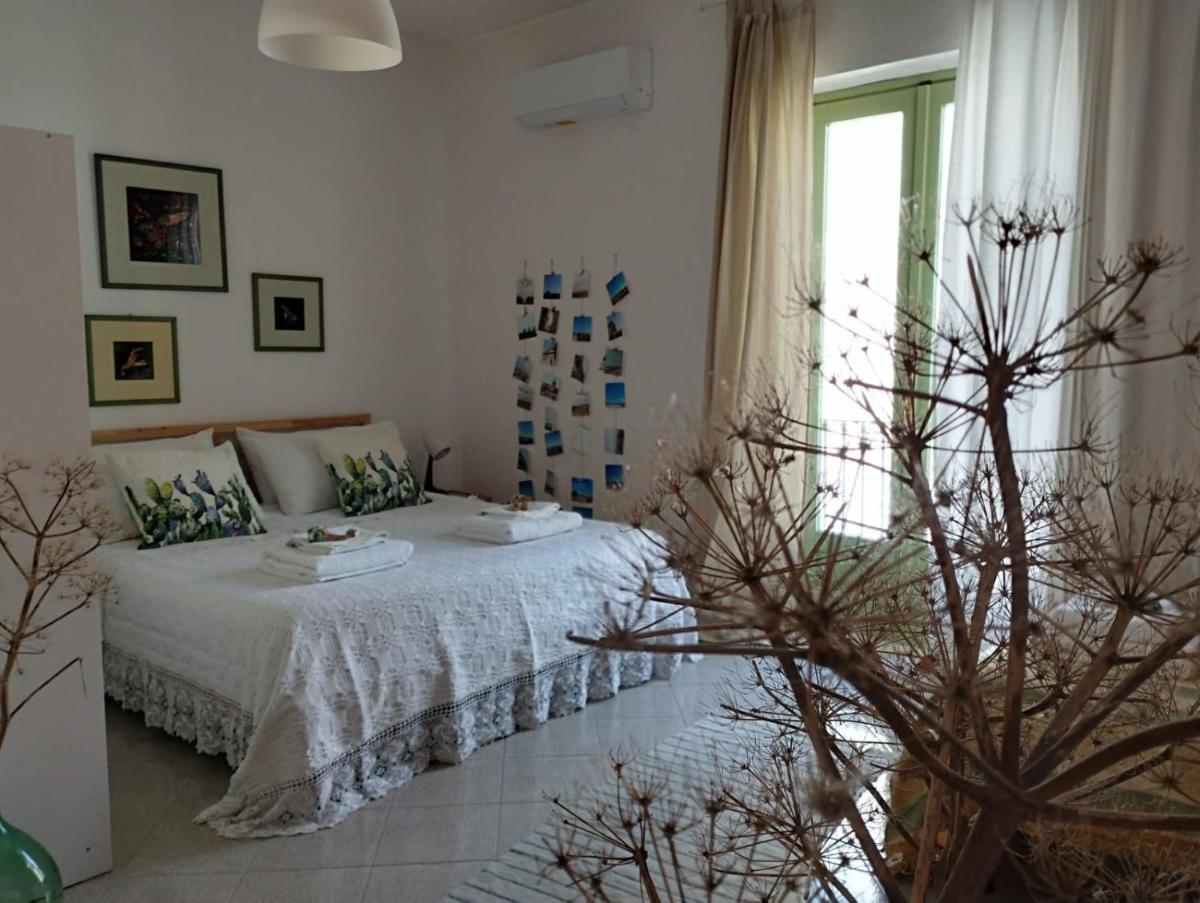 Ficodindia Rooms - Housity