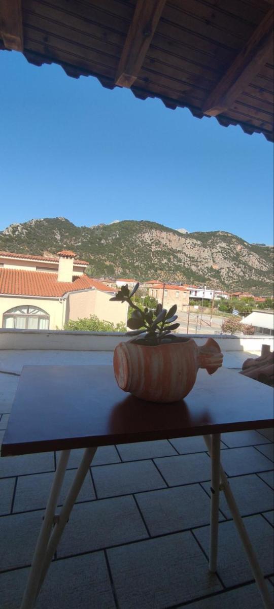 An Entire studio- Farida-Free Parking-Wifi - Housity