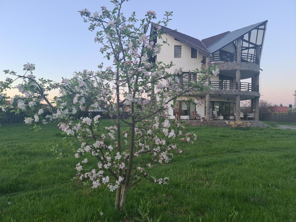 Cozy Home near Baile Sarate - Housity