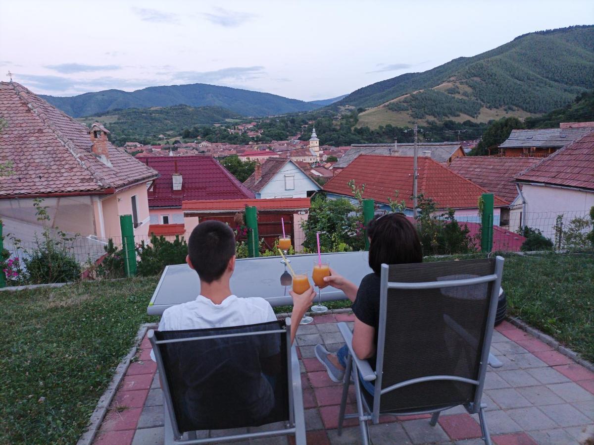 Apartament Panoramic la casa in comuna Rasinari - Housity