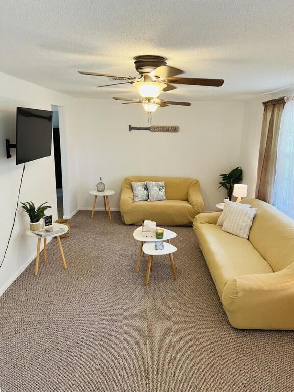 House of Shells, beautiful garden, fenced yard, dog friendly, fire pit! - Housity