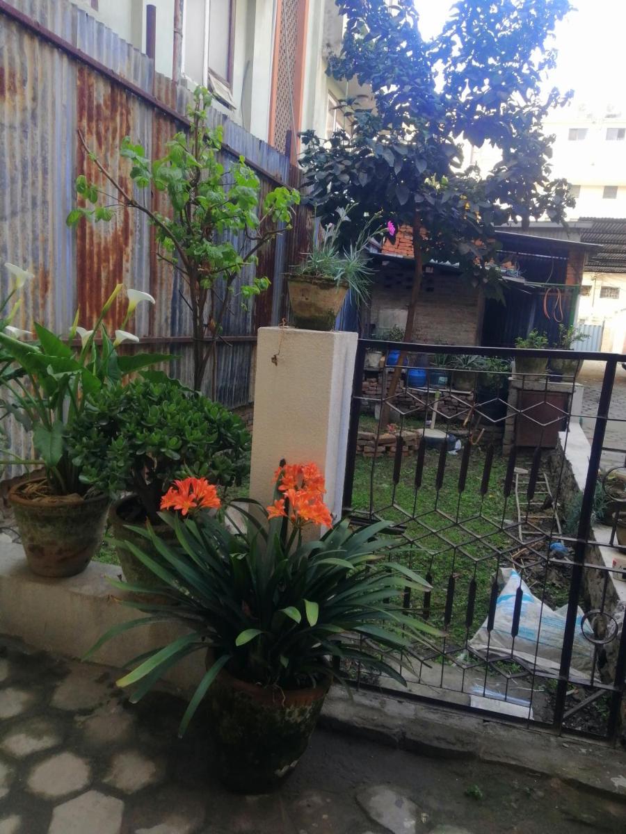 newa home - Housity
