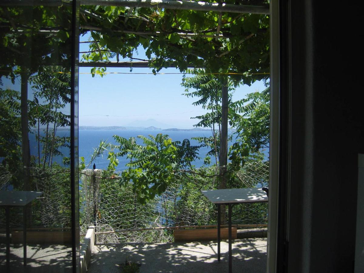 Appartamenti Miramare in collina - Sea view from Hillside - Housity