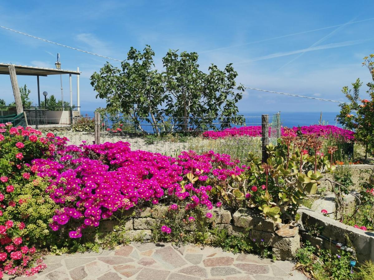 Appartamenti Miramare in collina - Sea view from Hillside - Housity