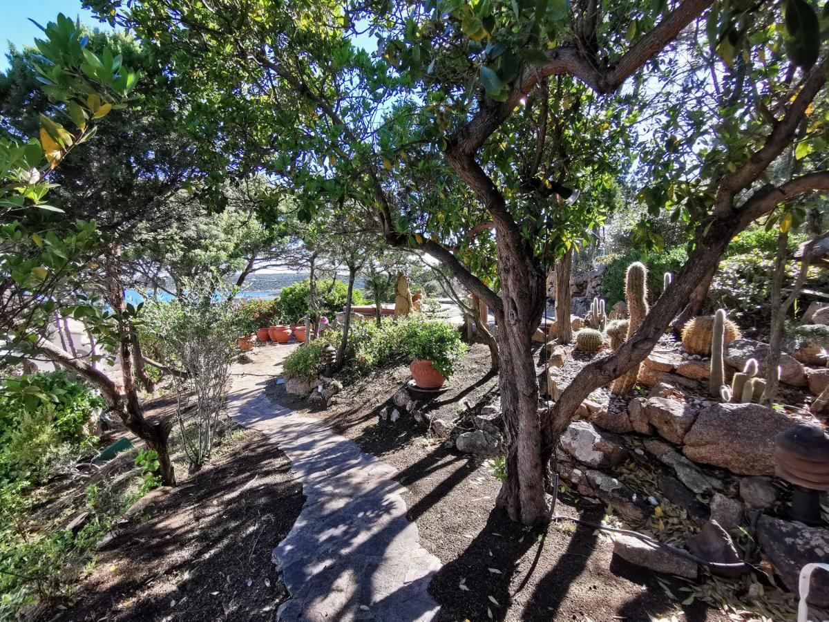 TEUCCIA Dependance - Costa Smeralda - Porto Cervo - Housity