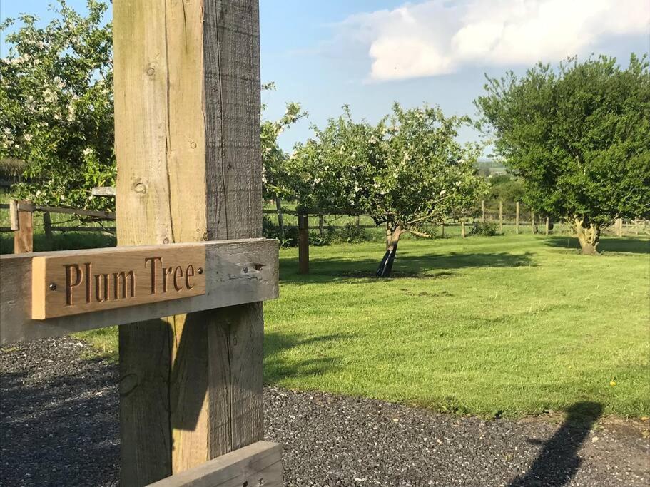 Plum Tree Lodge Set in 2 acres of Private Land - Housity