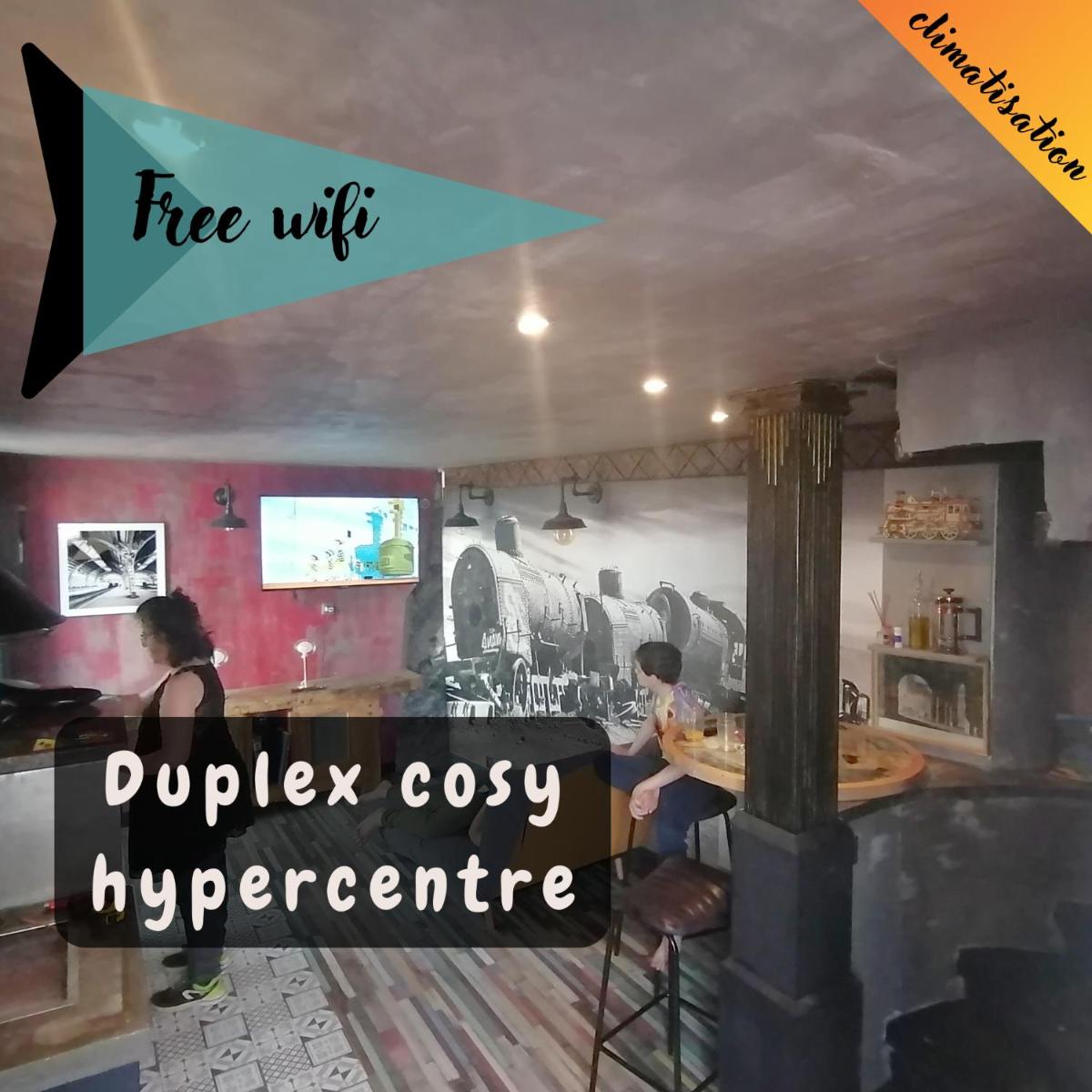 LODEON Duplex cosy hypercentre - Housity