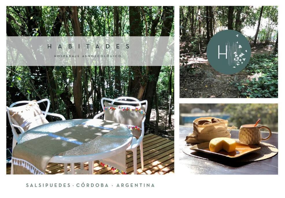 Habitades Hospedaje Agroecológico, moderno y confortable en el bosque - Housity