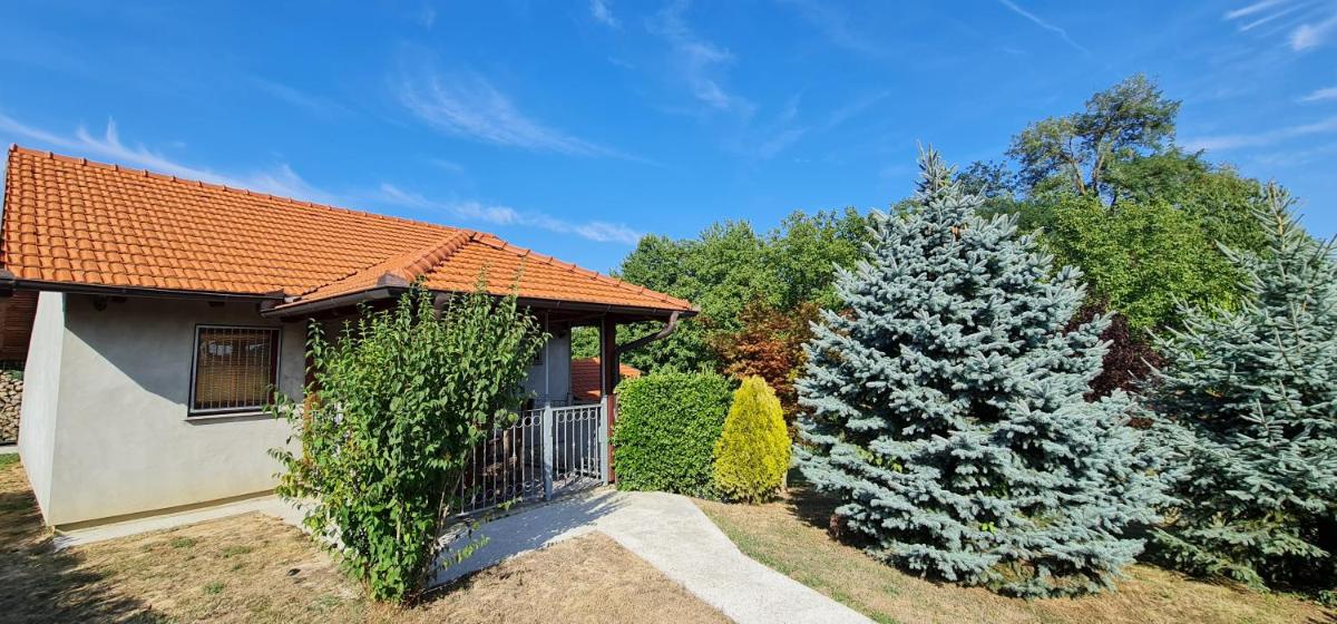 Relax house ZLATNI BREG - Housity