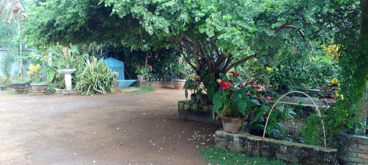 fun night sigiriya hostel - Housity