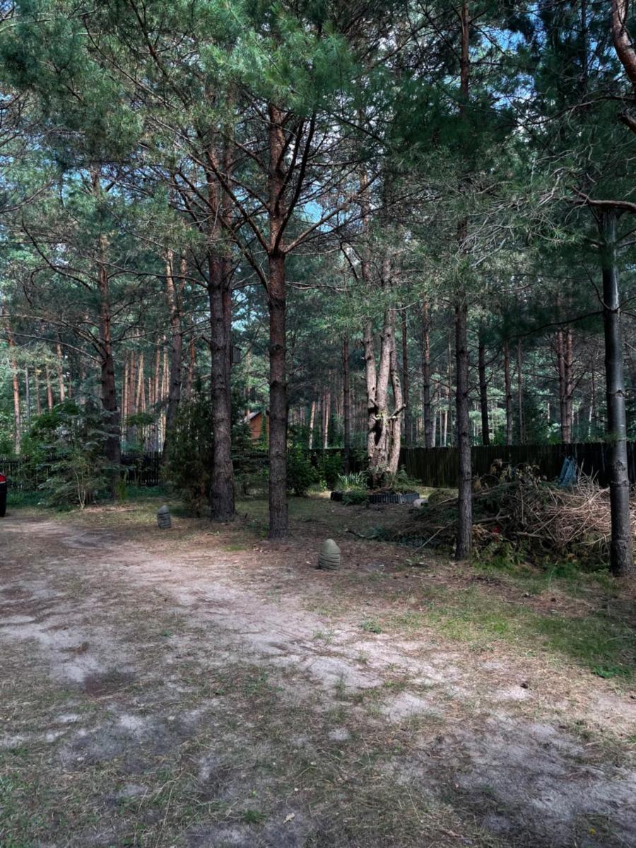 Domek letniskowy u Zosi - Housity