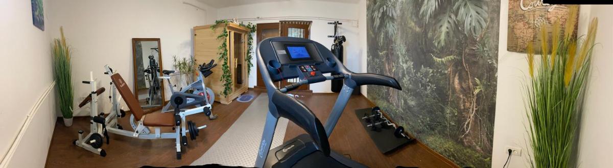 Suitetrails - Casa de vacanta Zoly Relax and Spa Battonya