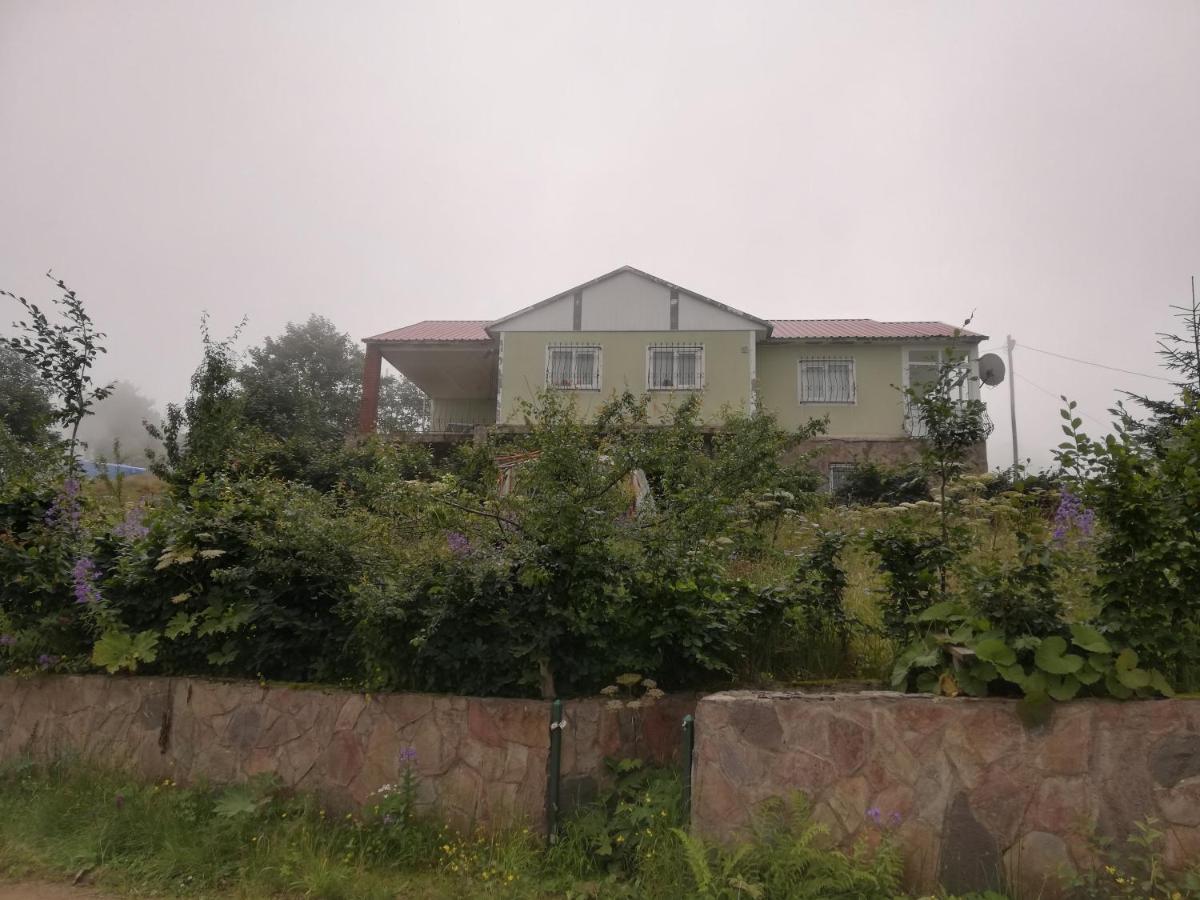 Bondika yayla evi - Housity