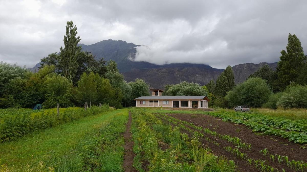 PUERTO HOSTEL - Housity